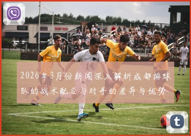 2026年3月份新闻深入解析成都排球队的战术配合与对手的差异与优势